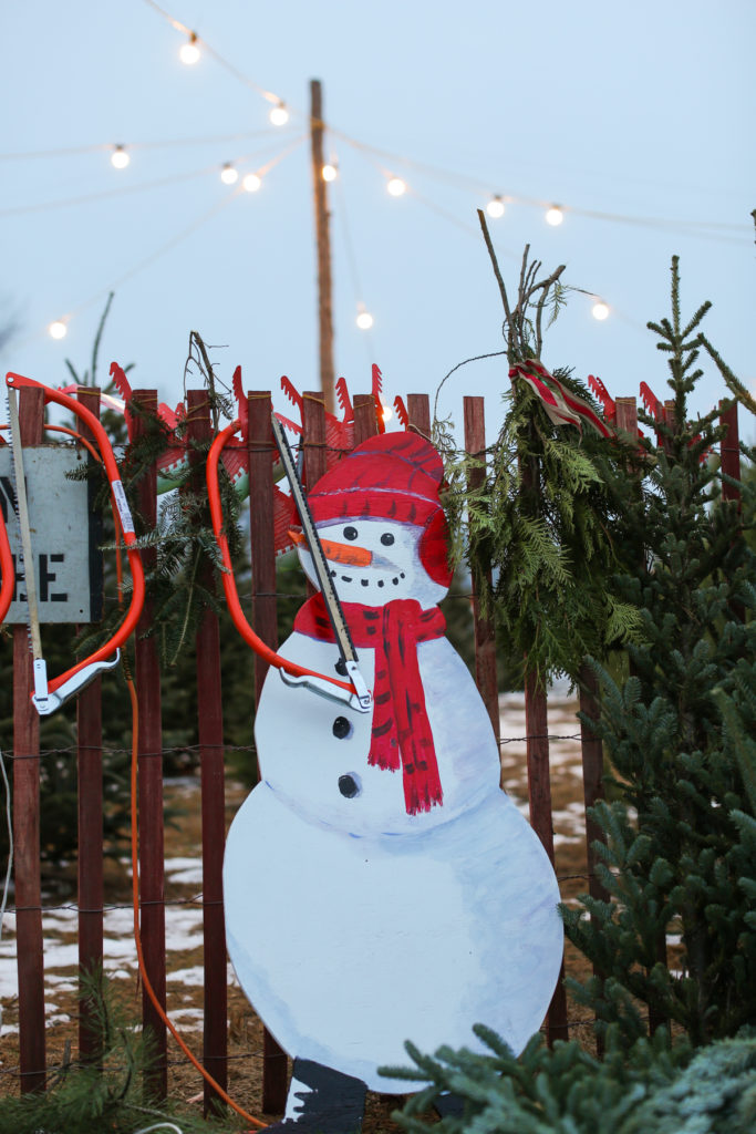 Real Christmas Tree - Tree Farm - Cut Your Own Tree- Oak Grove Minnesota