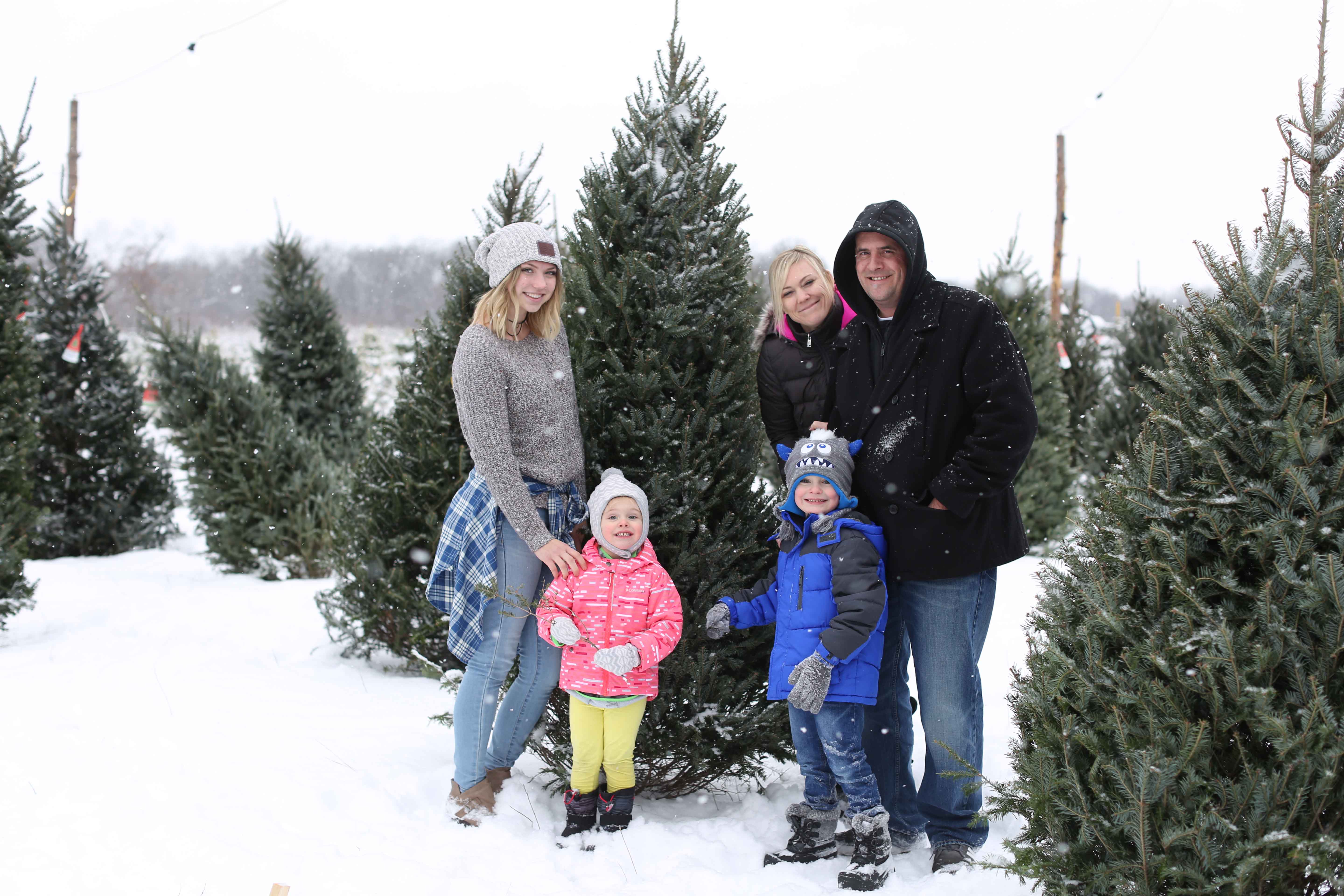 Minnesota Christmas Tree Farm - Our Farm Christmas Trees - Minneapolis Christmas Tree Farms