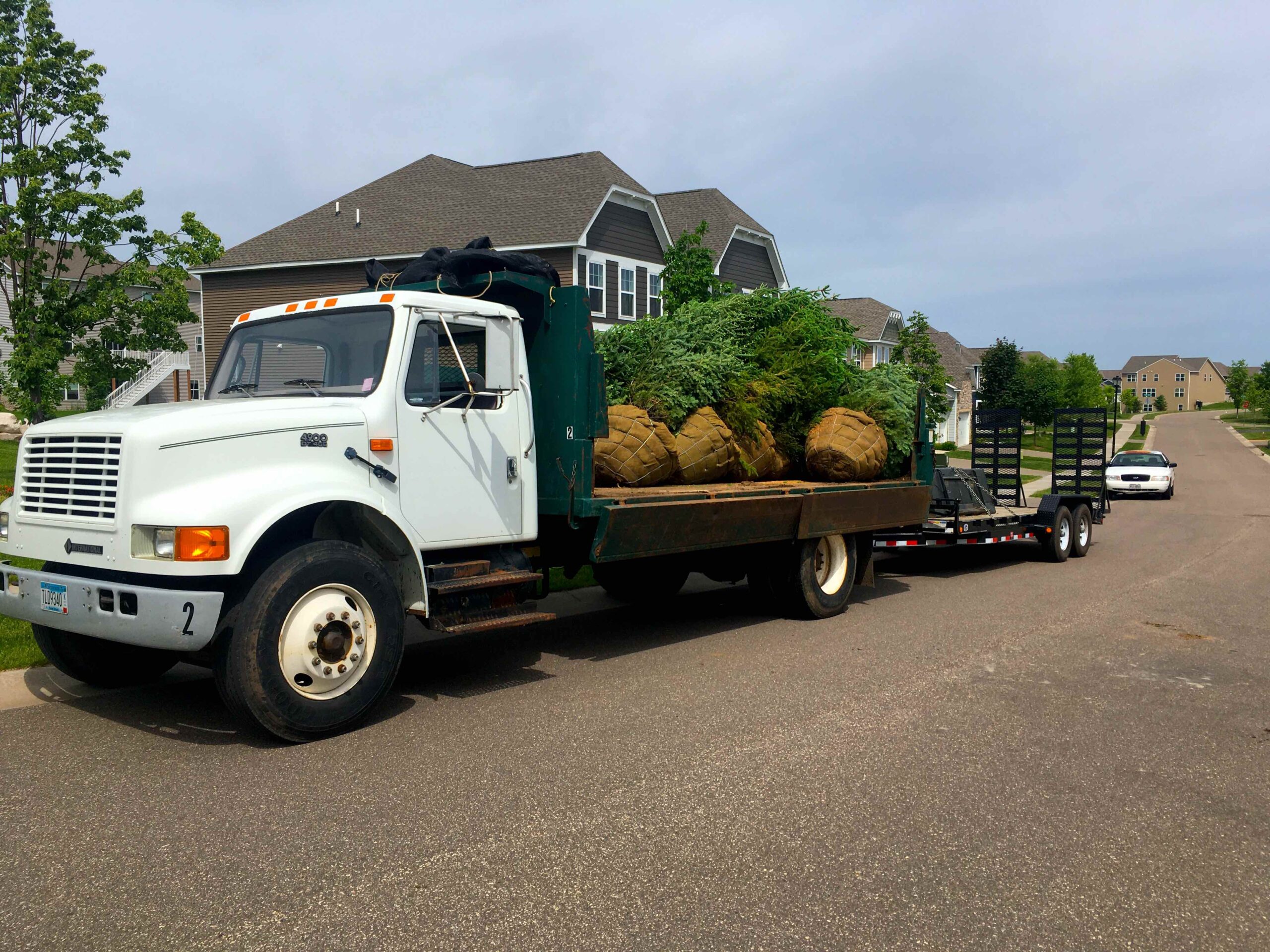 Our Farm Landscape Trees - Tree Delivery & Planting Service