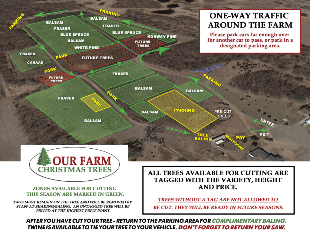 Christmas tree farm in minnesota tree farm near you