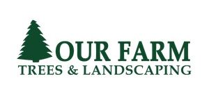 Our Farm Christmas Trees